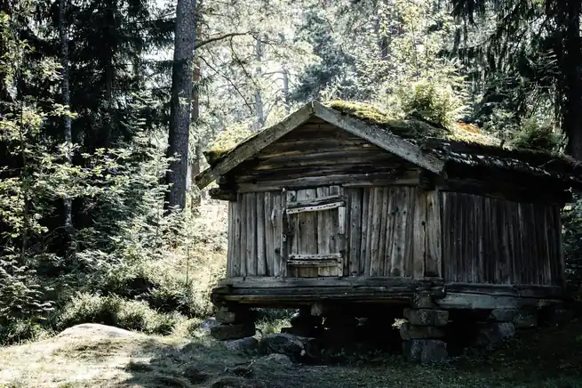 Perinteinen suomalainen puuhirsi-mökki havumetsässä