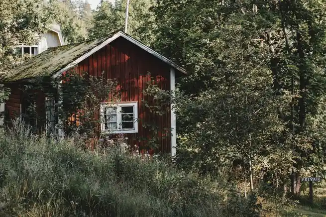 Perinteinen punainen mökki vihreän kesäisen koivumetsän syleilyssä
