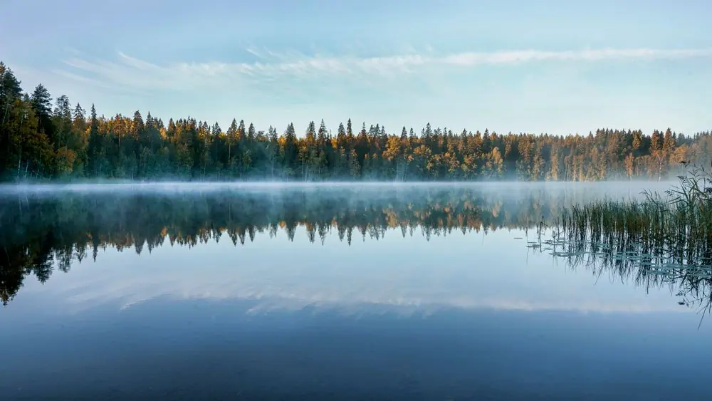 Aamu-usva ja hento kevätvalo nousemassa suomalaisen metsäjärven ylle