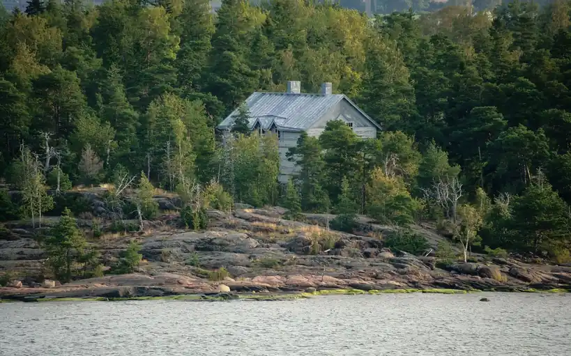 Syksyinen rauhallinen luontomaisema ja kuulaat metsän sävyt